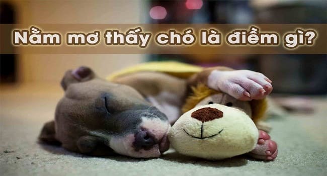 mo thay cho